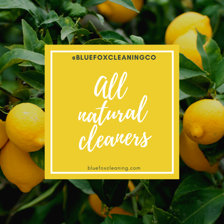 top-5-natural-cleaning-agents-bluefox-cleaning