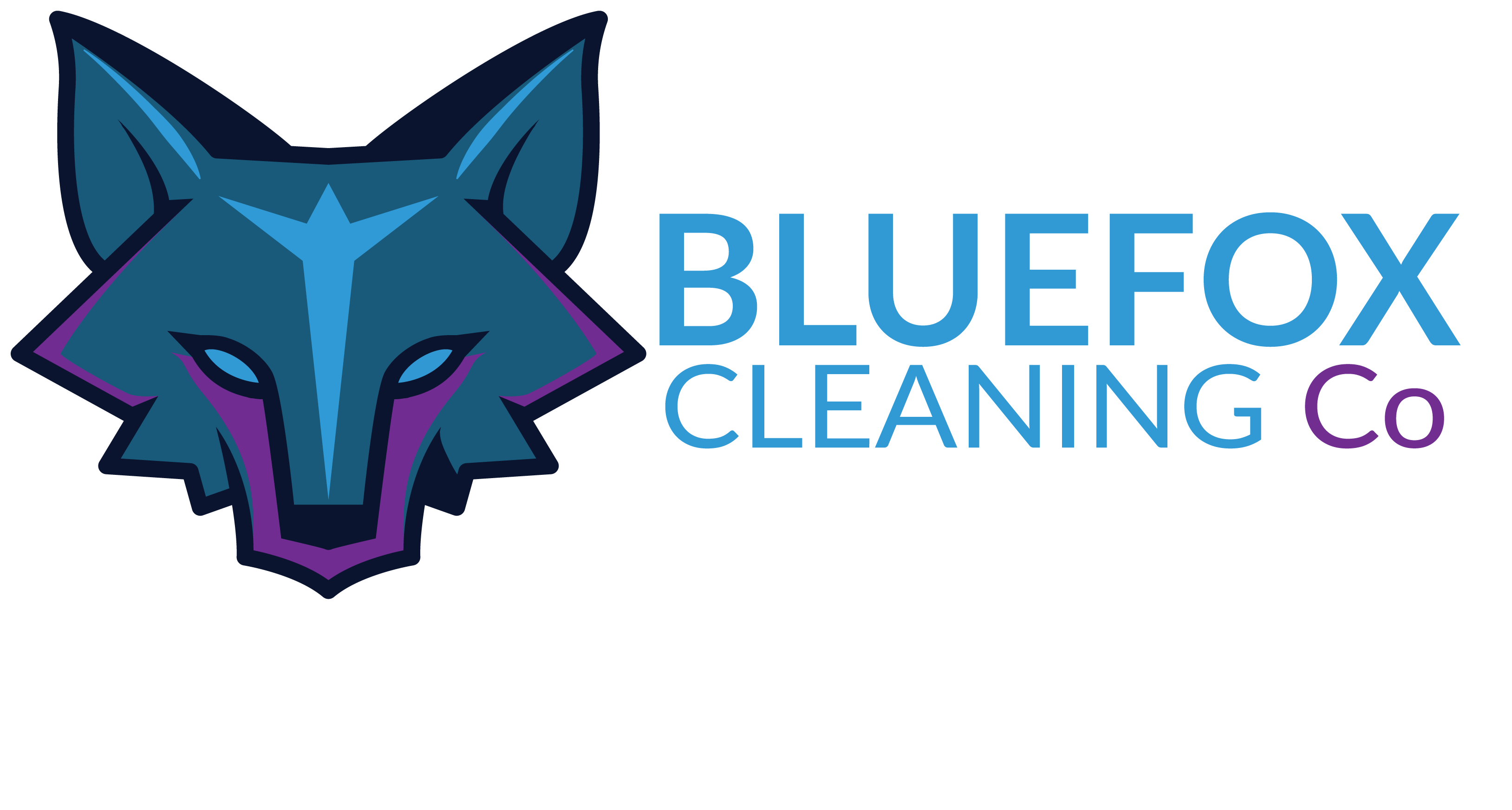 What Is Included In A Deep Clean BlueFox Cleaning