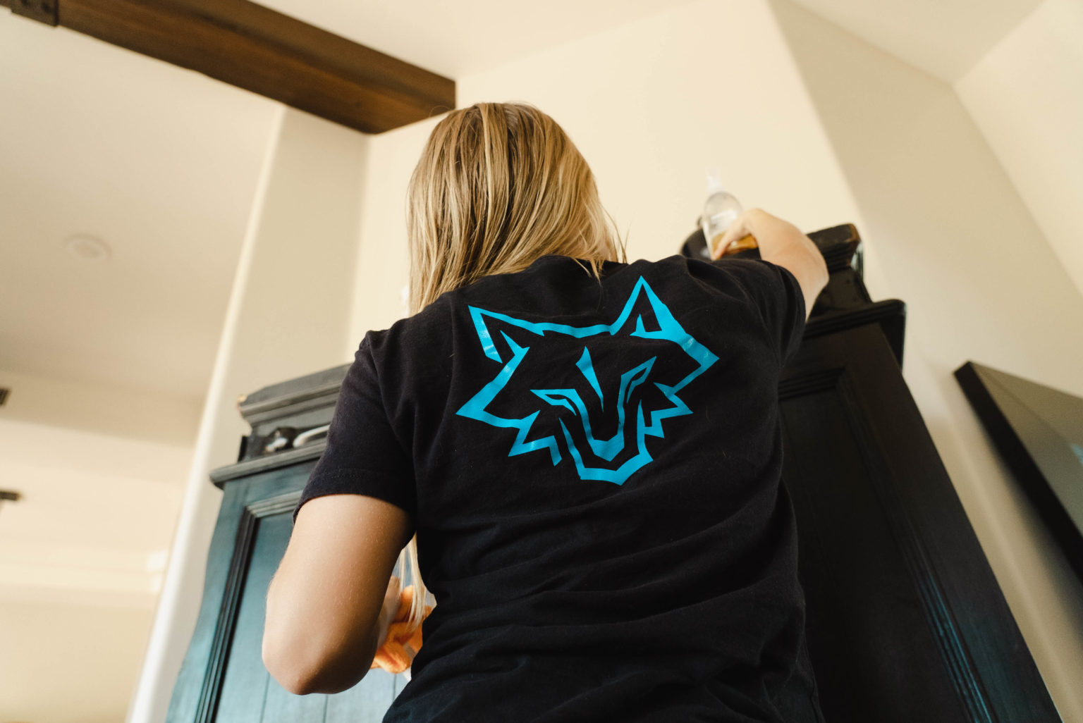 what-s-the-difference-between-a-deep-clean-and-a-basic-clean-bluefox